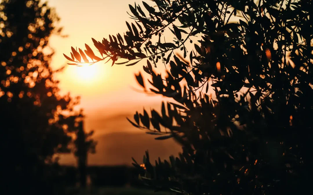 El renacer de la primavera